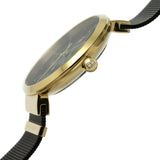 Tommy Hilfiger Lidia Black Dial Black Mesh Strap Watch for Women  - 1782540