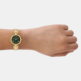 Michael Kors Laney Green Dial Gold Steel Strap Watch for Women - MK4892